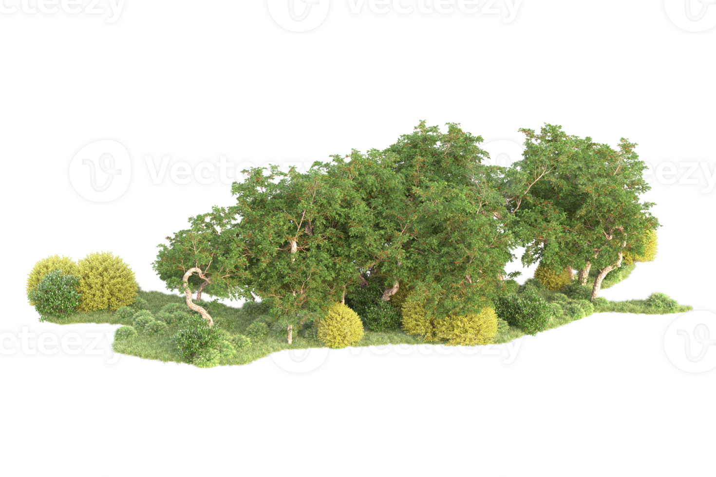 Tropical forest isolated on transparent background. 3d rendering - illustration png