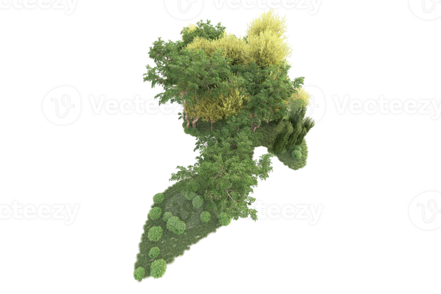 Tropical forest isolated on transparent background. 3d rendering - illustration png