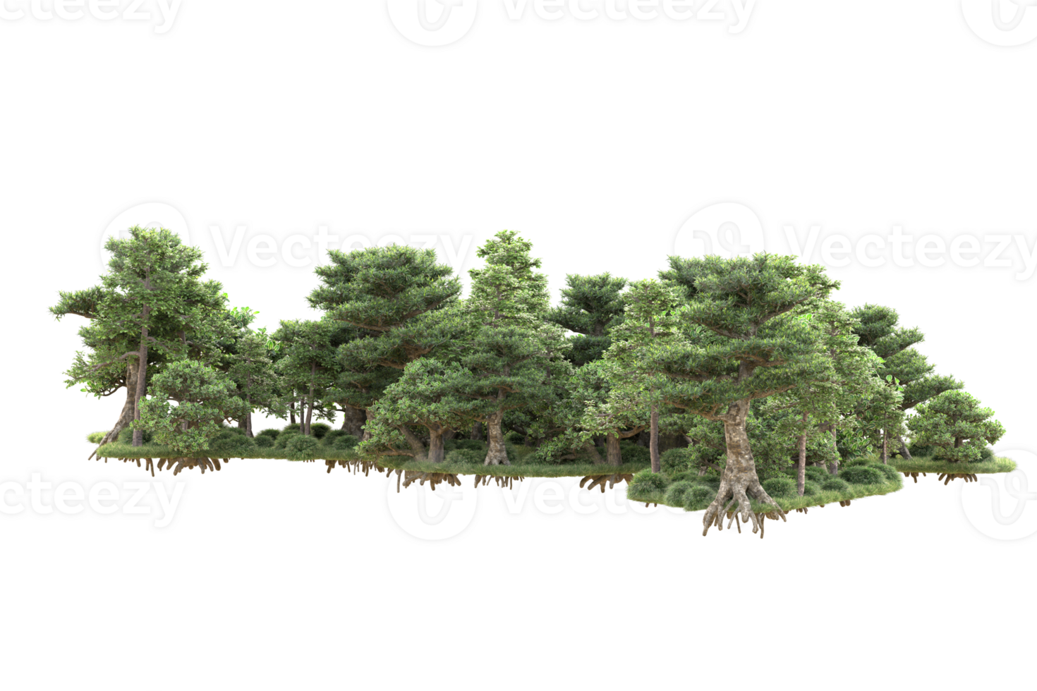 Tropical forest isolated on transparent background. 3d rendering - illustration png