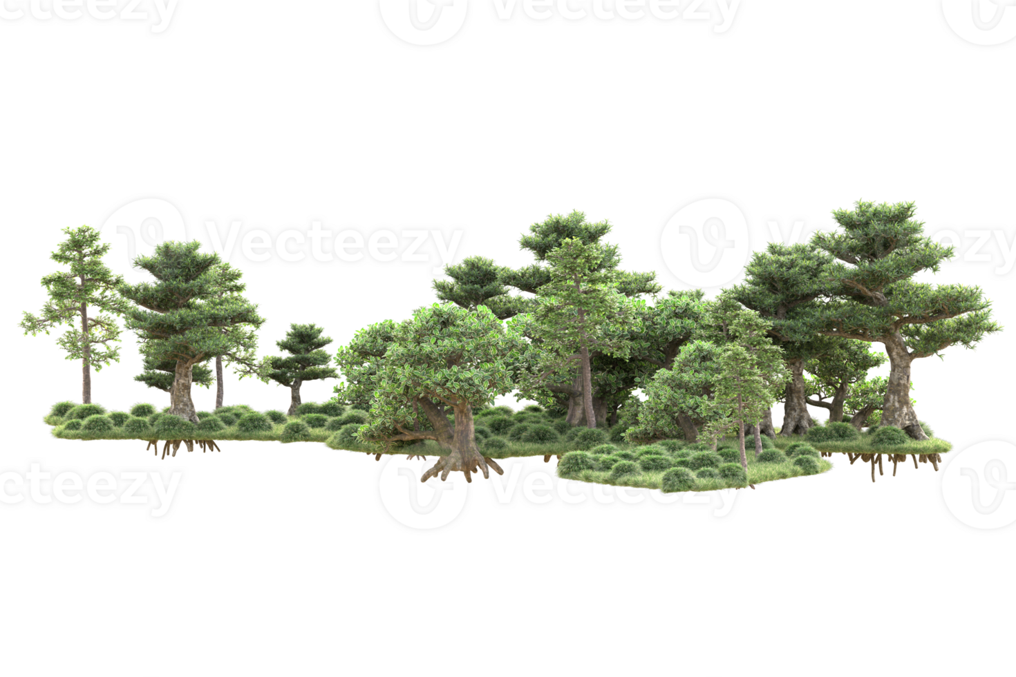 Tropical forest isolated on transparent background. 3d rendering - illustration png