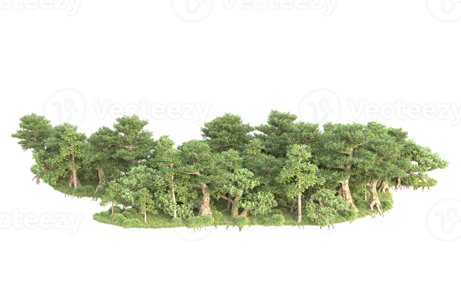 Tropical forest isolated on transparent background. 3d rendering - illustration png