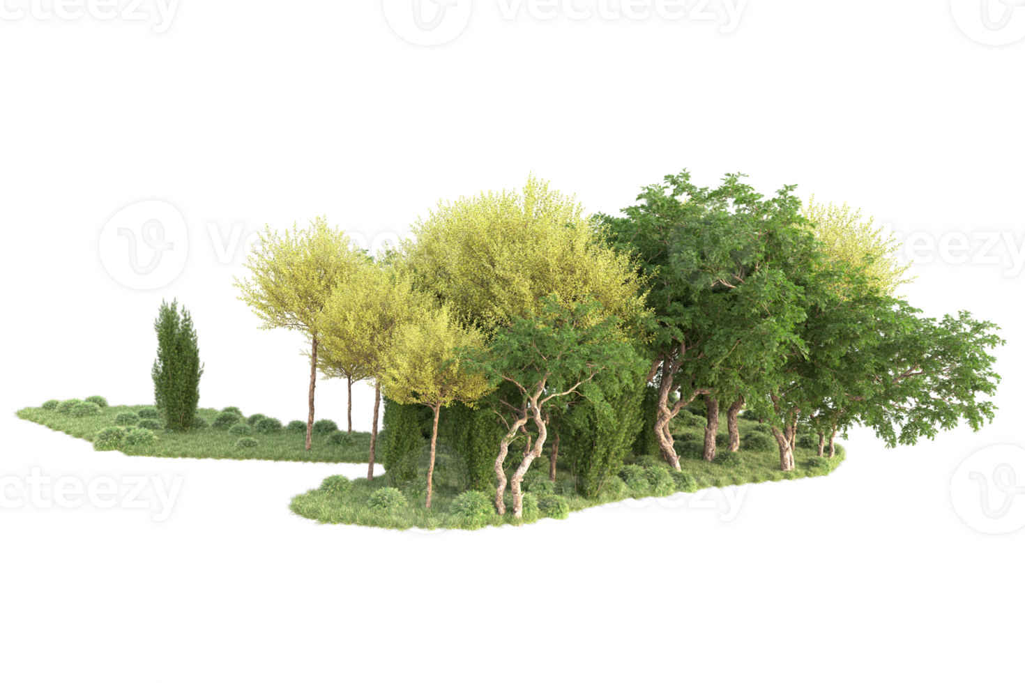 Tropical forest isolated on transparent background. 3d rendering - illustration png