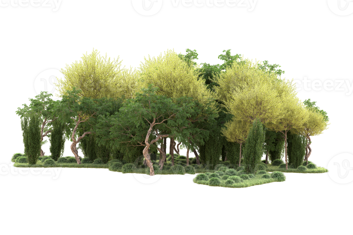Tropical forest isolated on transparent background. 3d rendering - illustration png