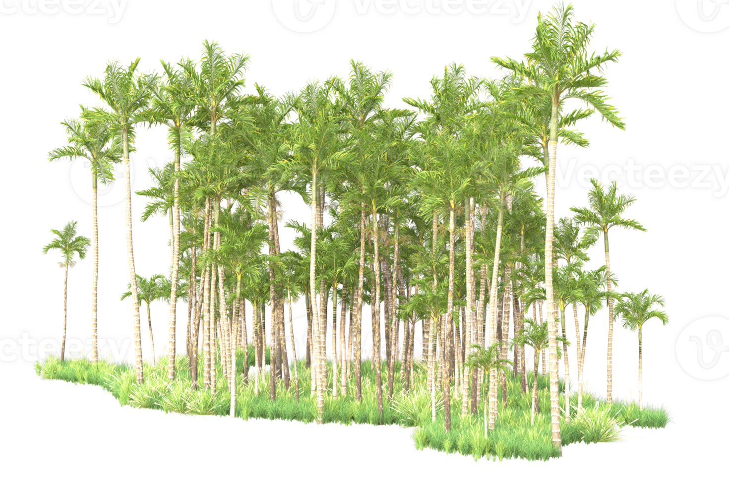 Tropical forest isolated on transparent background. 3d rendering - illustration png