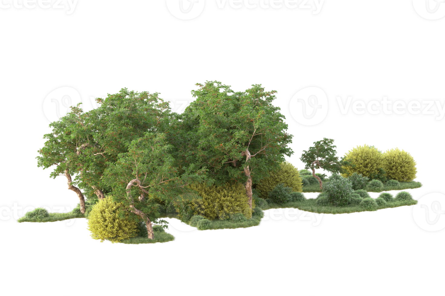 Tropical forest isolated on transparent background. 3d rendering - illustration png