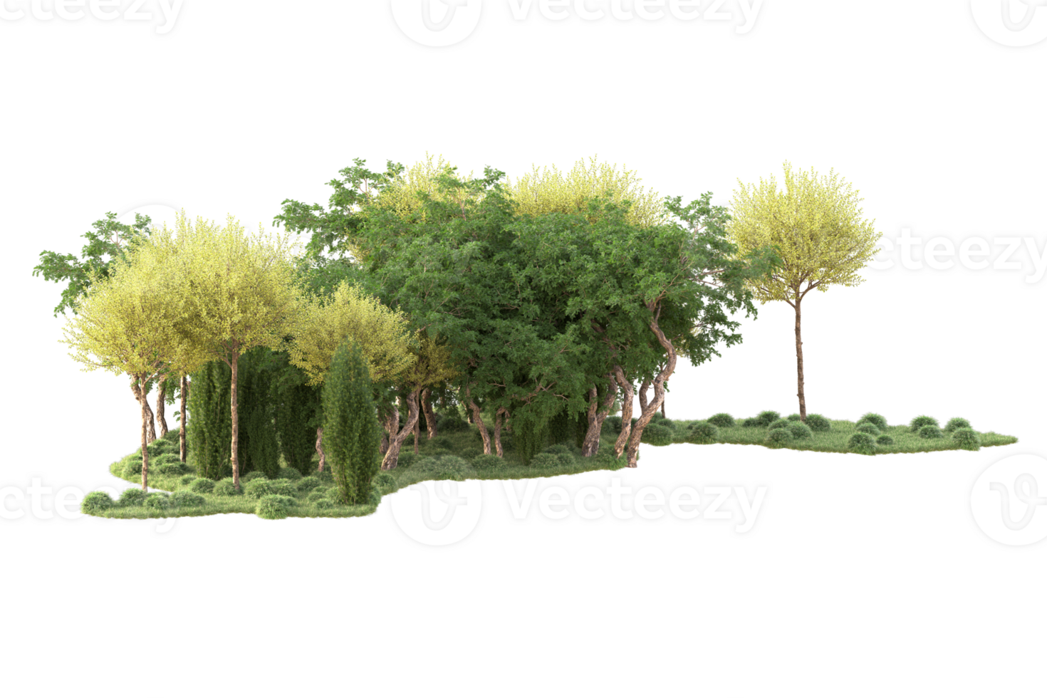 Tropical forest isolated on transparent background. 3d rendering - illustration png