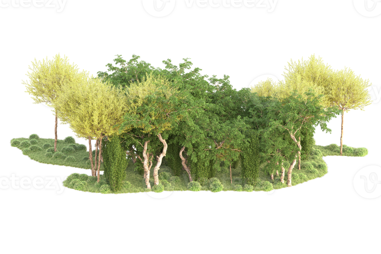 Tropical forest isolated on transparent background. 3d rendering - illustration png