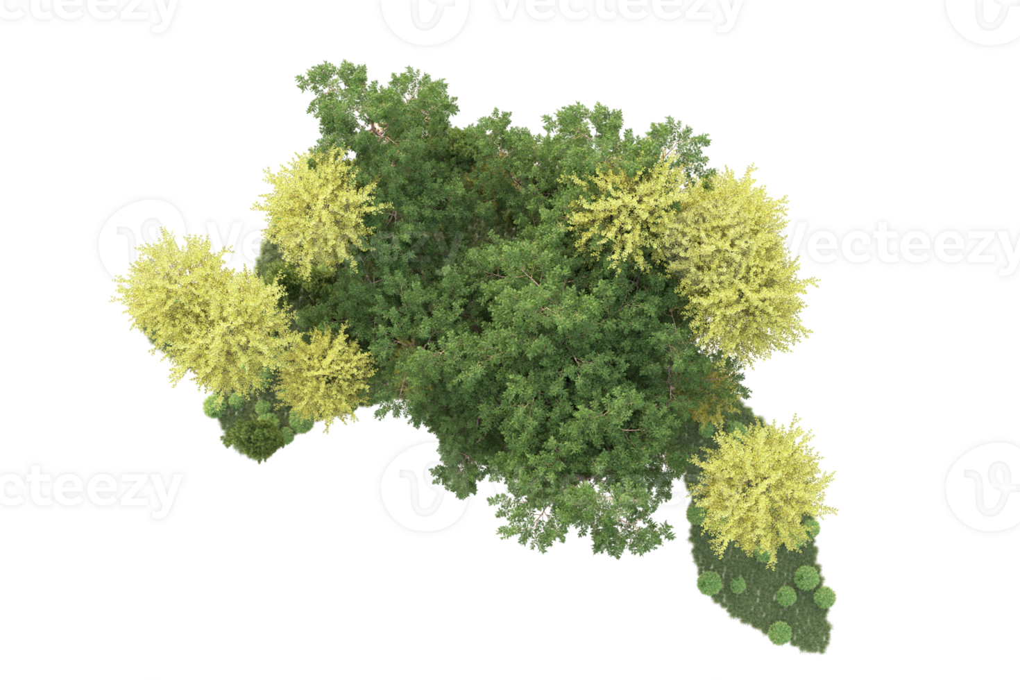 Tropical forest isolated on transparent background. 3d rendering - illustration png