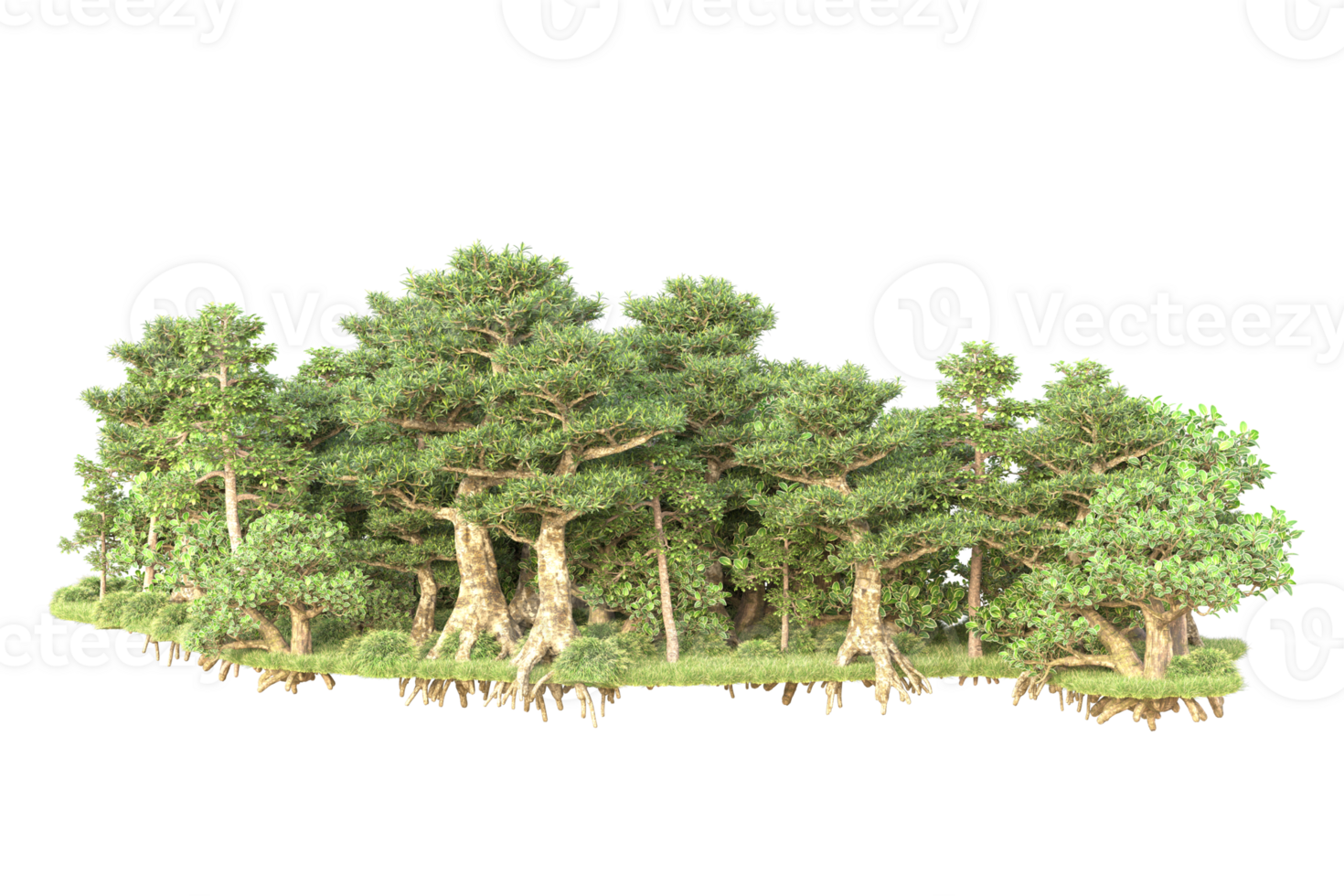 Tropical forest isolated on transparent background. 3d rendering - illustration png