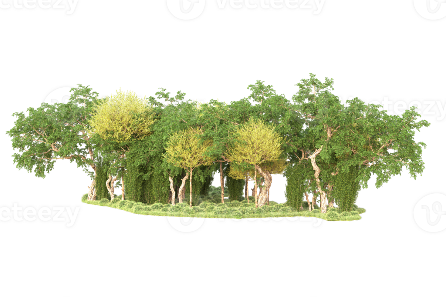 Tropical forest isolated on transparent background. 3d rendering - illustration png