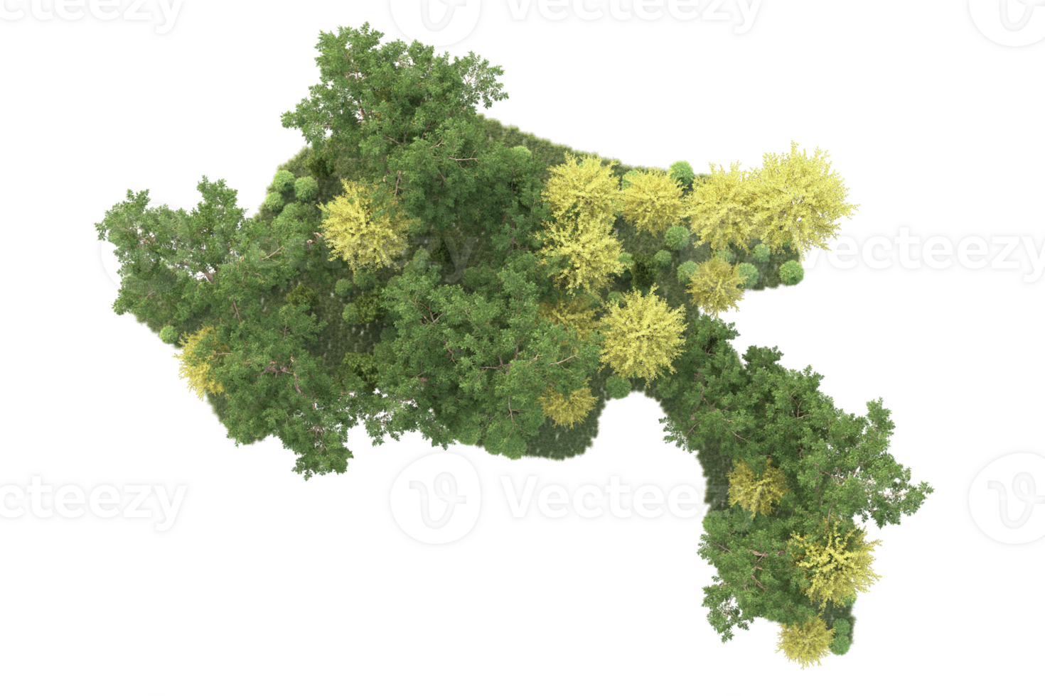 Tropical forest isolated on transparent background. 3d rendering - illustration png