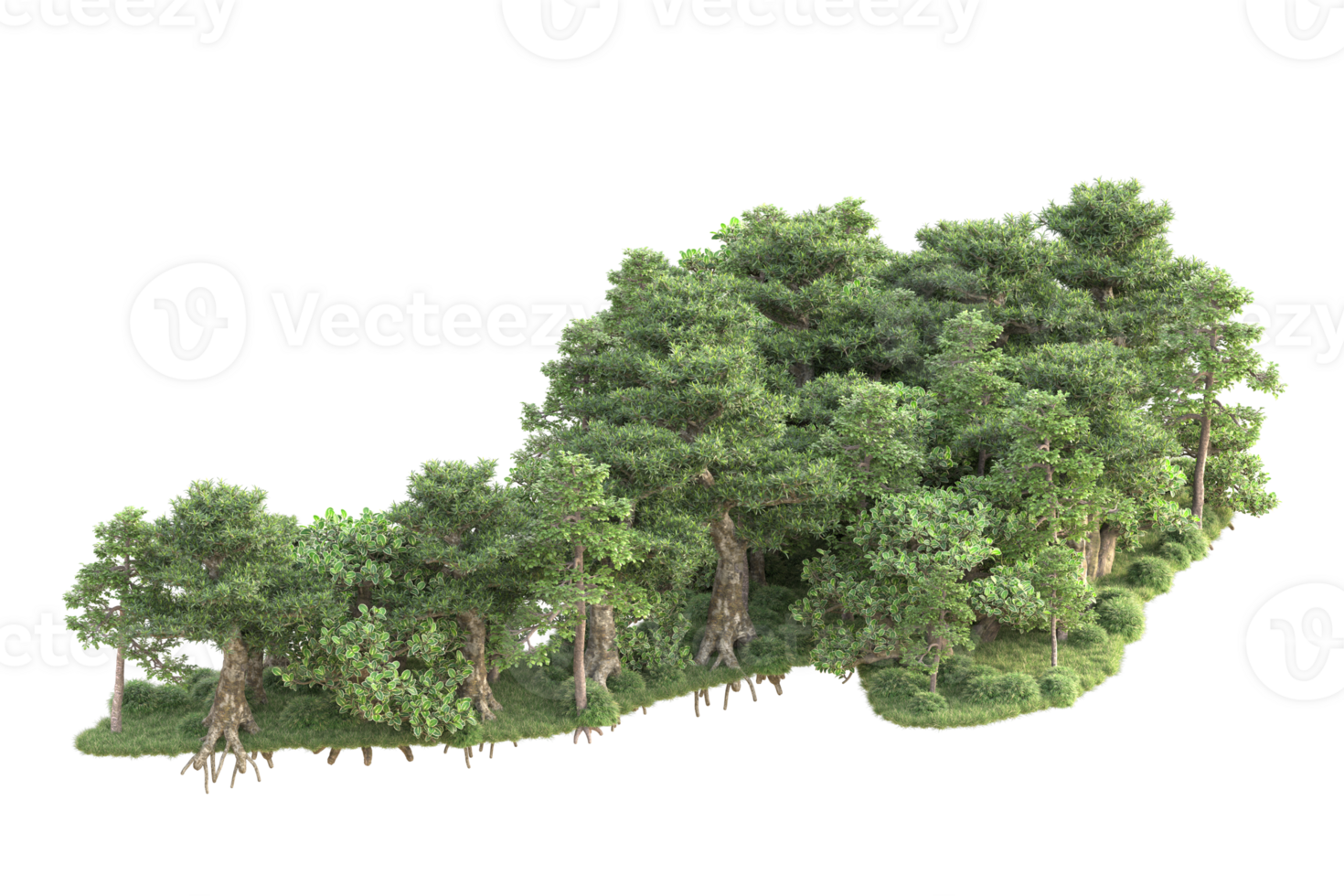 Tropical forest isolated on transparent background. 3d rendering - illustration png