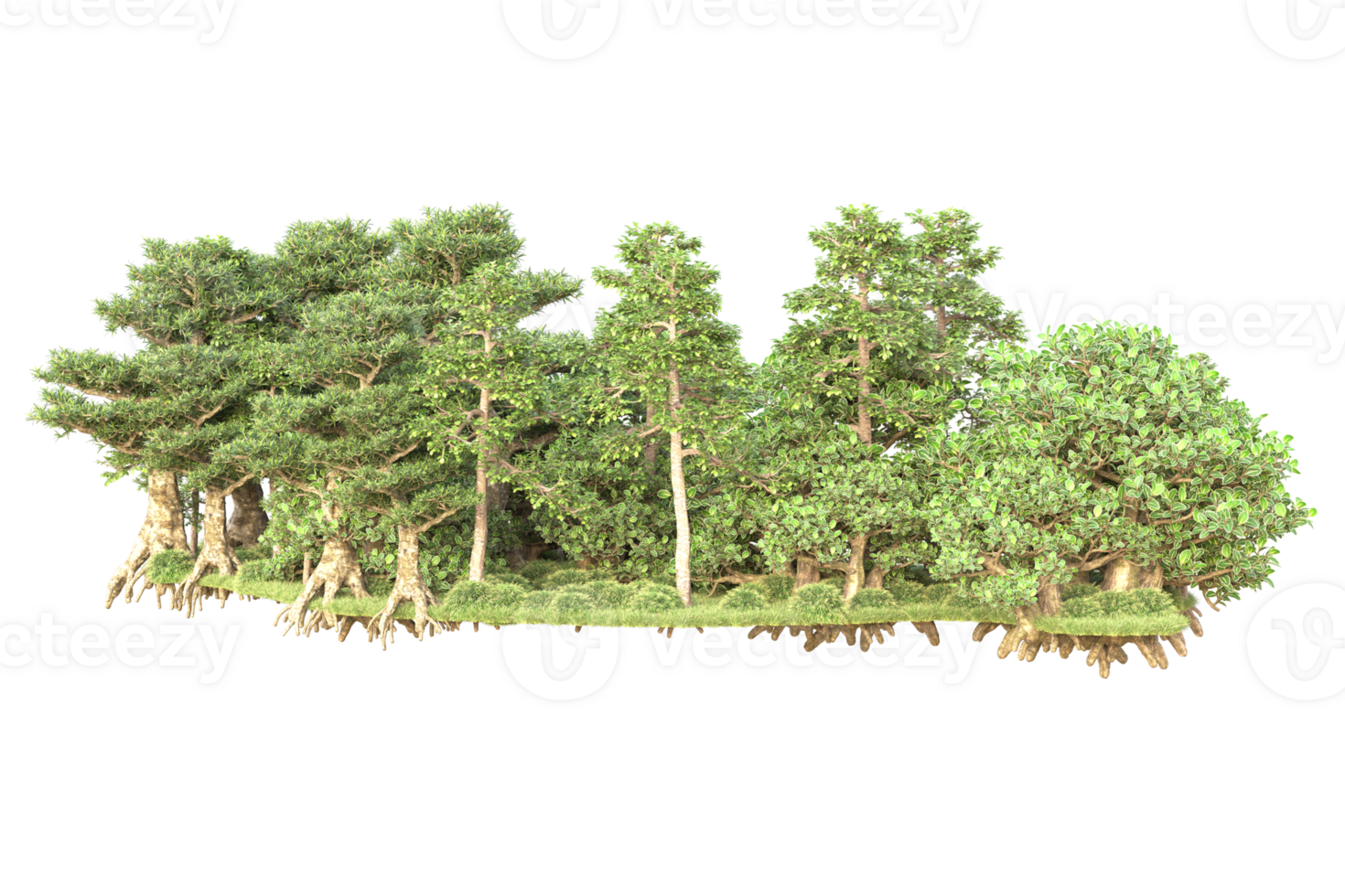 Tropical forest isolated on transparent background. 3d rendering - illustration png