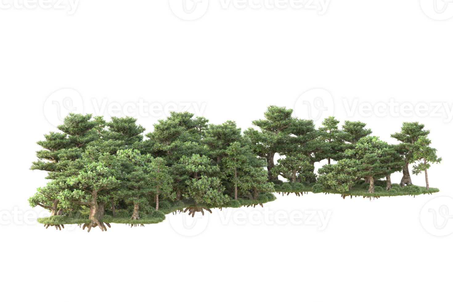 Tropical forest isolated on transparent background. 3d rendering - illustration png