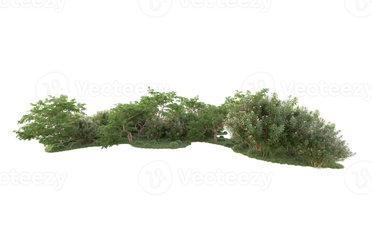 Tropical forest isolated on transparent background. 3d rendering - illustration png