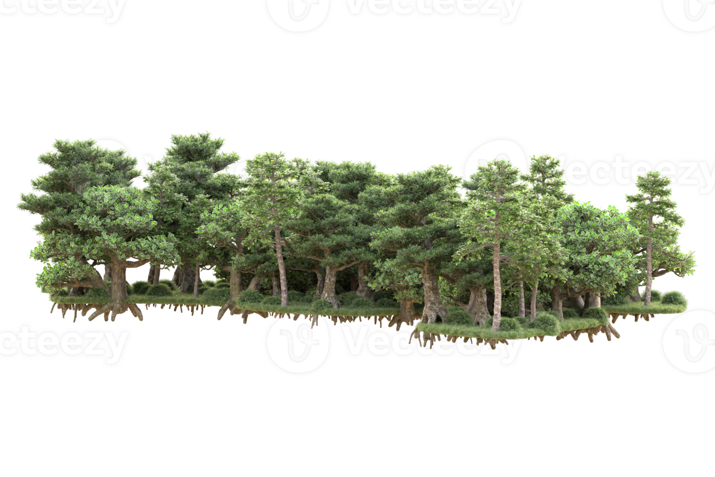 Tropical forest isolated on transparent background. 3d rendering - illustration png