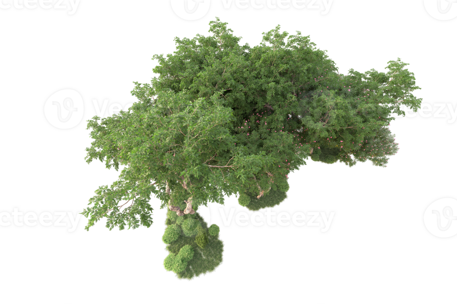Tropical forest isolated on transparent background. 3d rendering - illustration png