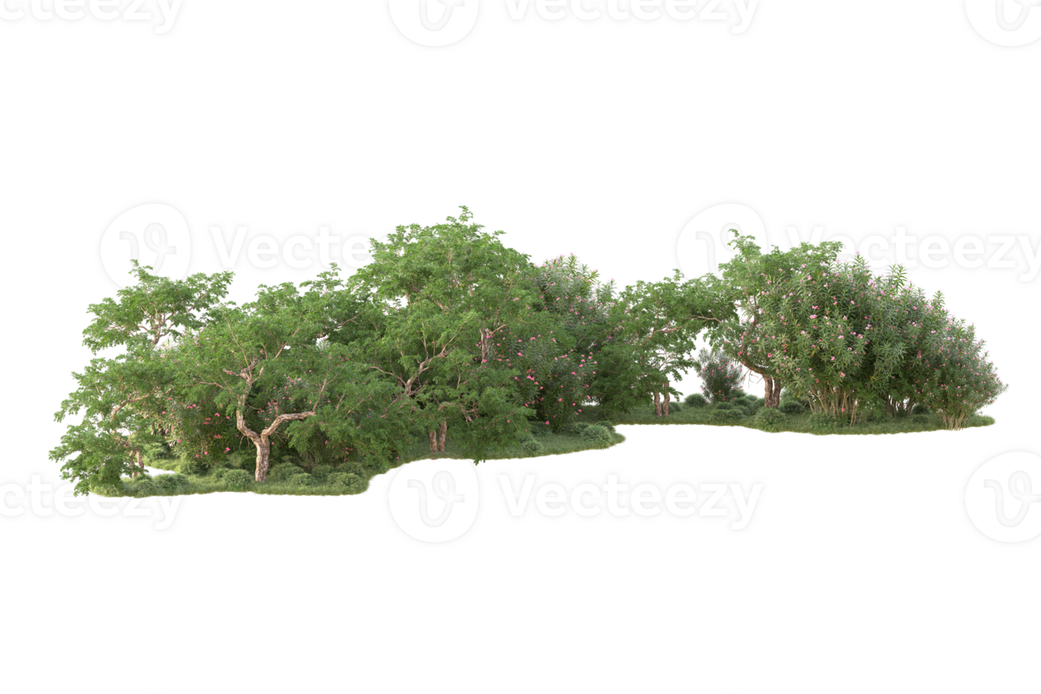 Tropical forest isolated on transparent background. 3d rendering - illustration png