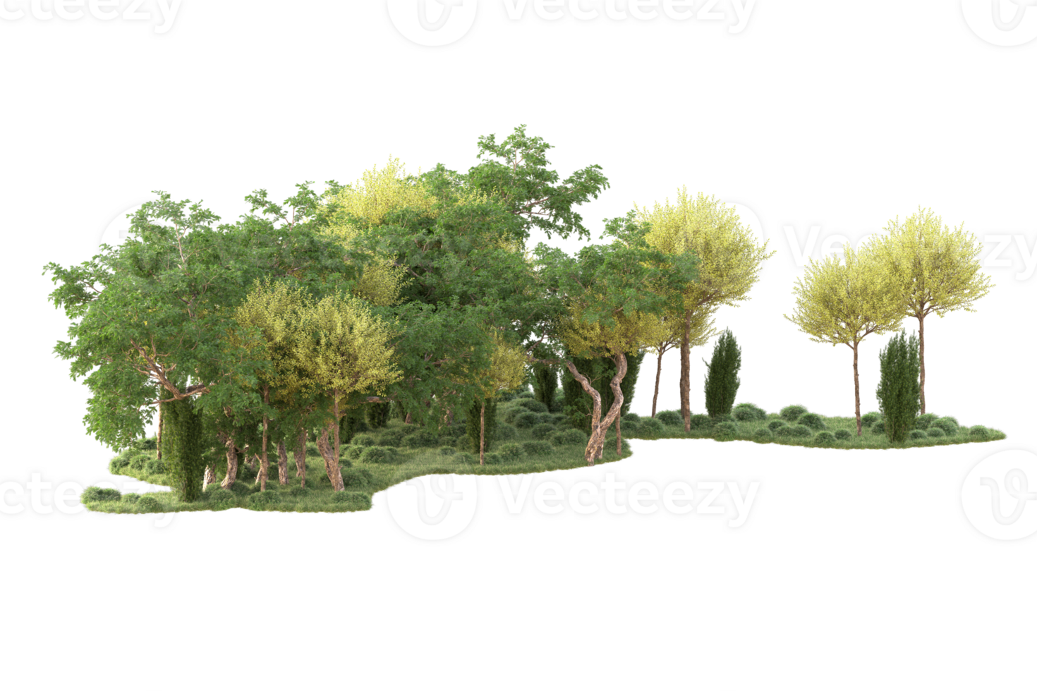 Tropical forest isolated on transparent background. 3d rendering - illustration png