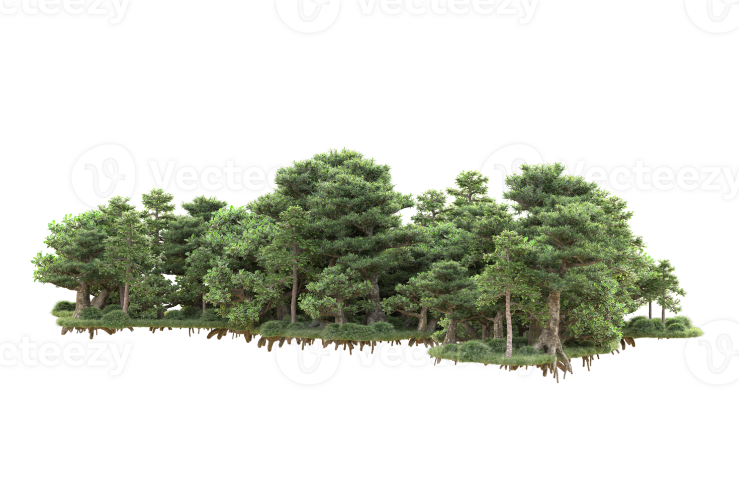 Tropical forest isolated on transparent background. 3d rendering - illustration png