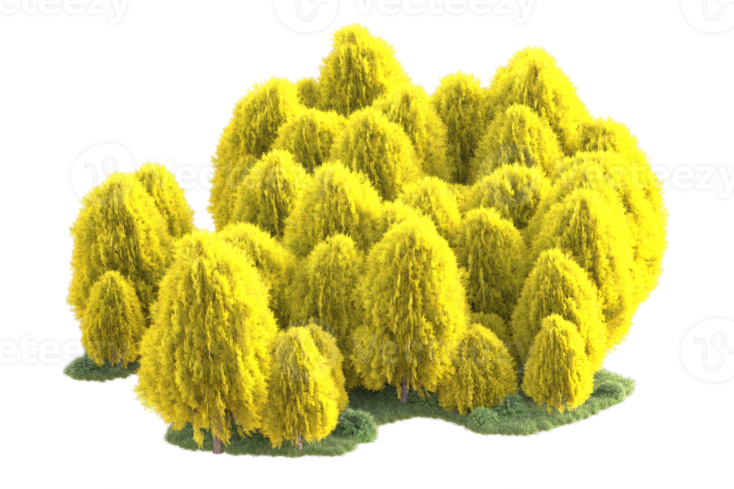 Tropical forest isolated on transparent background. 3d rendering - illustration png