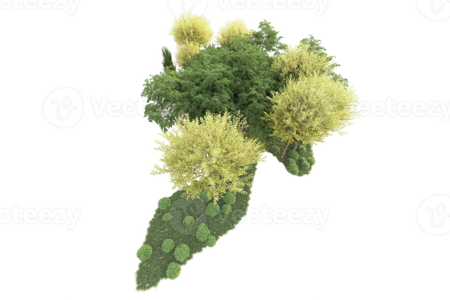Tropical forest isolated on transparent background. 3d rendering - illustration png
