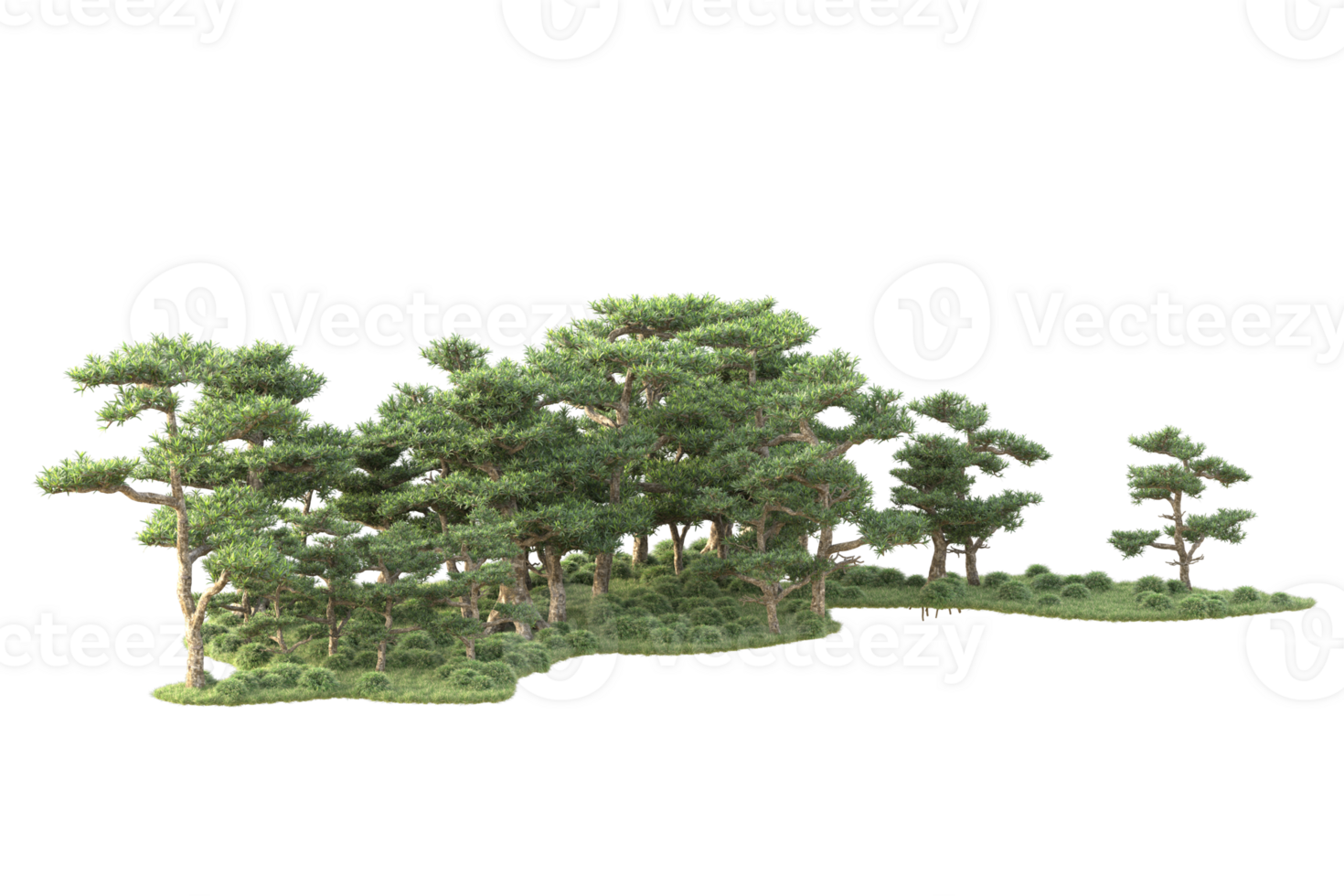 Tropical forest isolated on transparent background. 3d rendering - illustration png