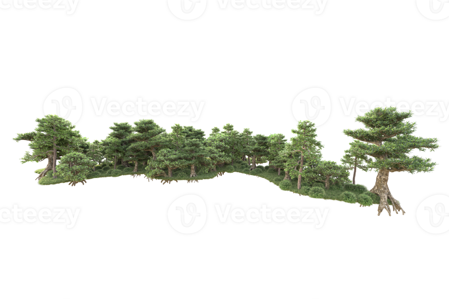 Tropical forest isolated on transparent background. 3d rendering - illustration png