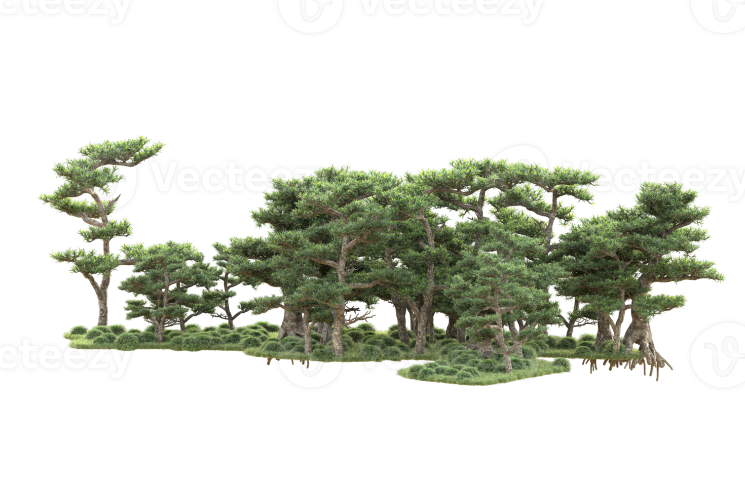 Tropical forest isolated on transparent background. 3d rendering - illustration png