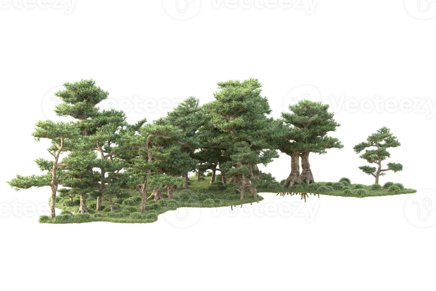 Tropical forest isolated on transparent background. 3d rendering - illustration png