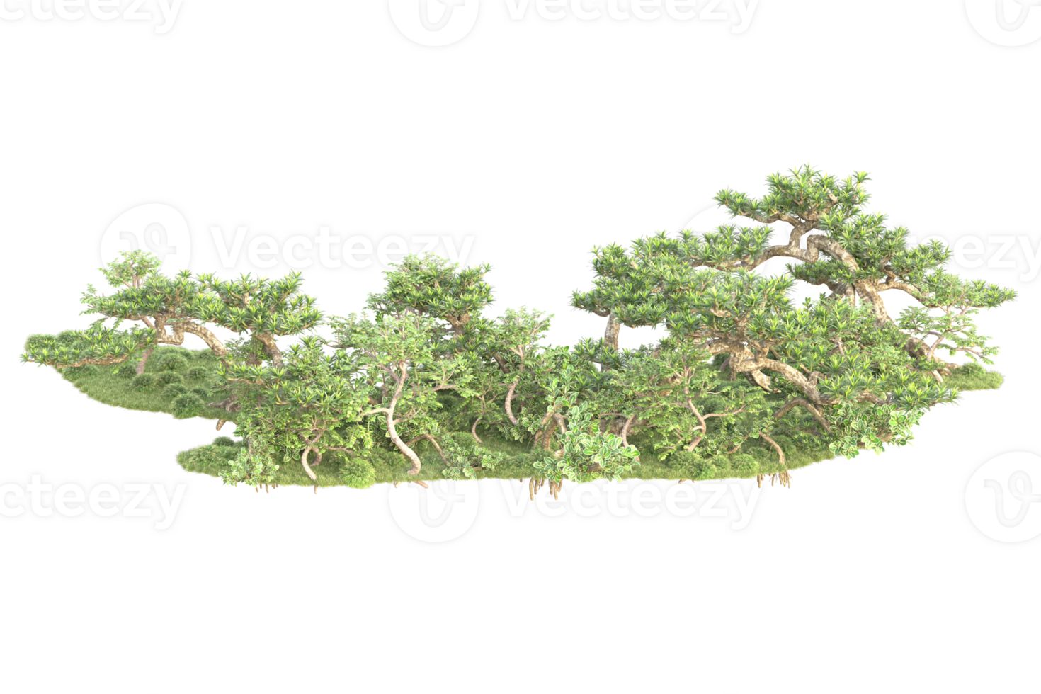 Tropical forest isolated on transparent background. 3d rendering - illustration png