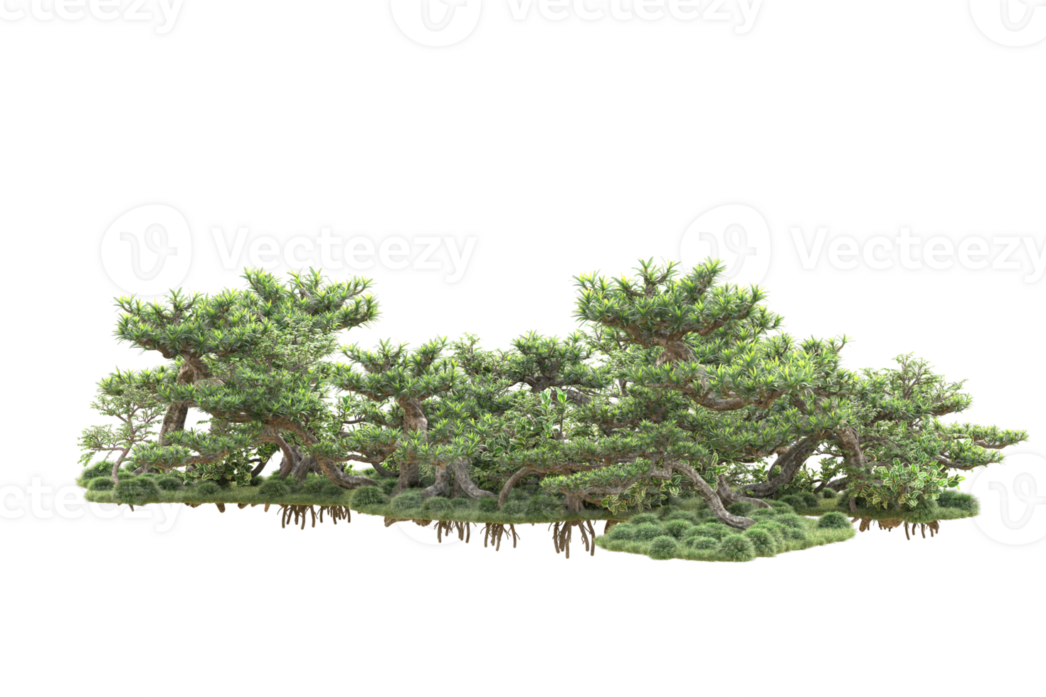 Tropical forest isolated on transparent background. 3d rendering - illustration png