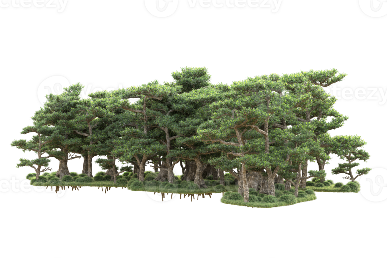 Tropical forest isolated on transparent background. 3d rendering - illustration png