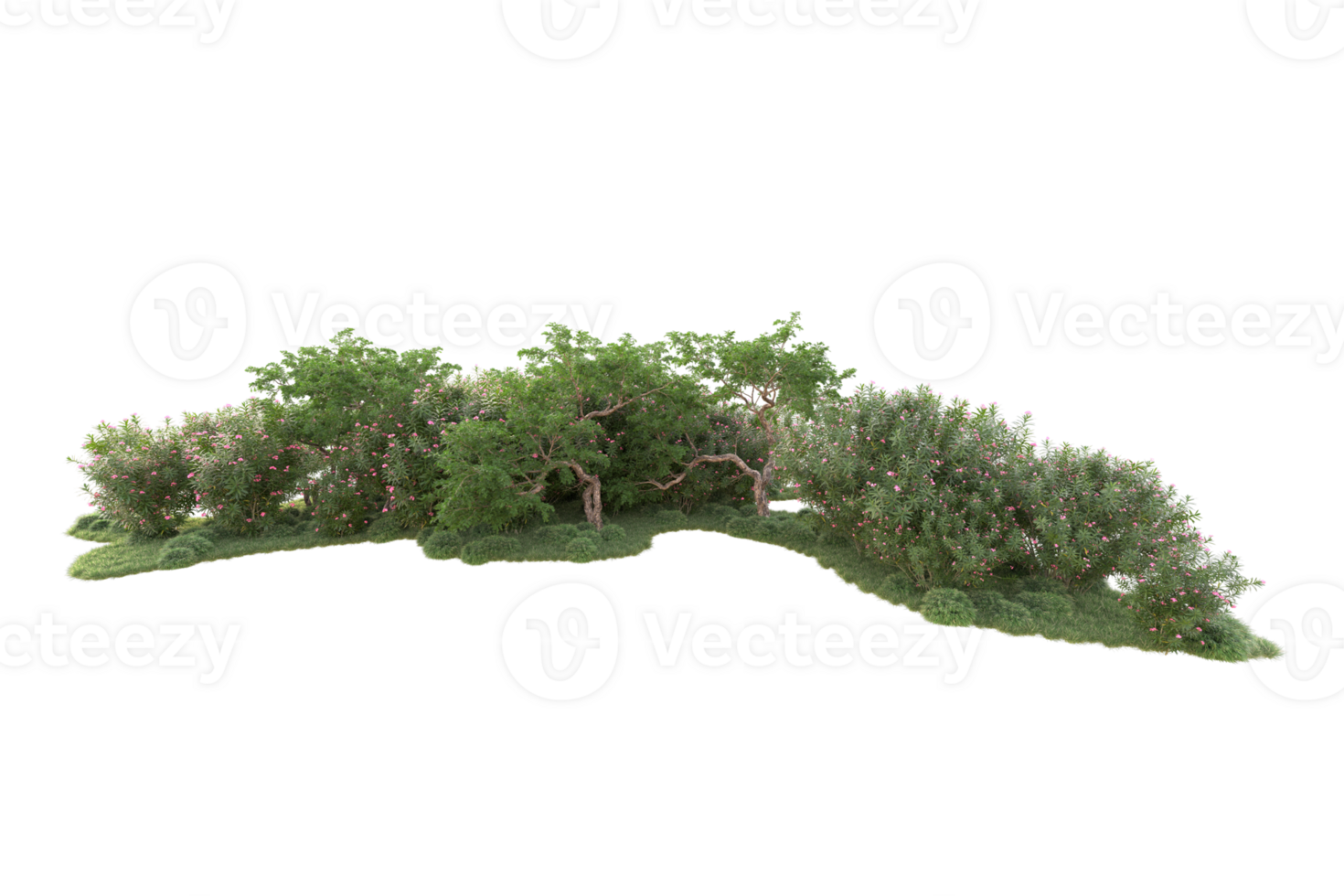 Tropical forest isolated on transparent background. 3d rendering - illustration png