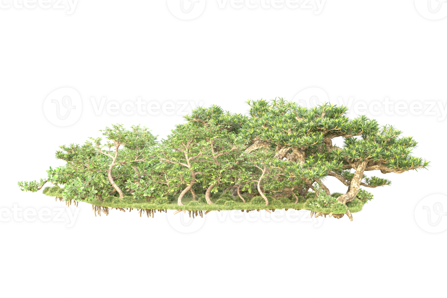 Tropical forest isolated on transparent background. 3d rendering - illustration png