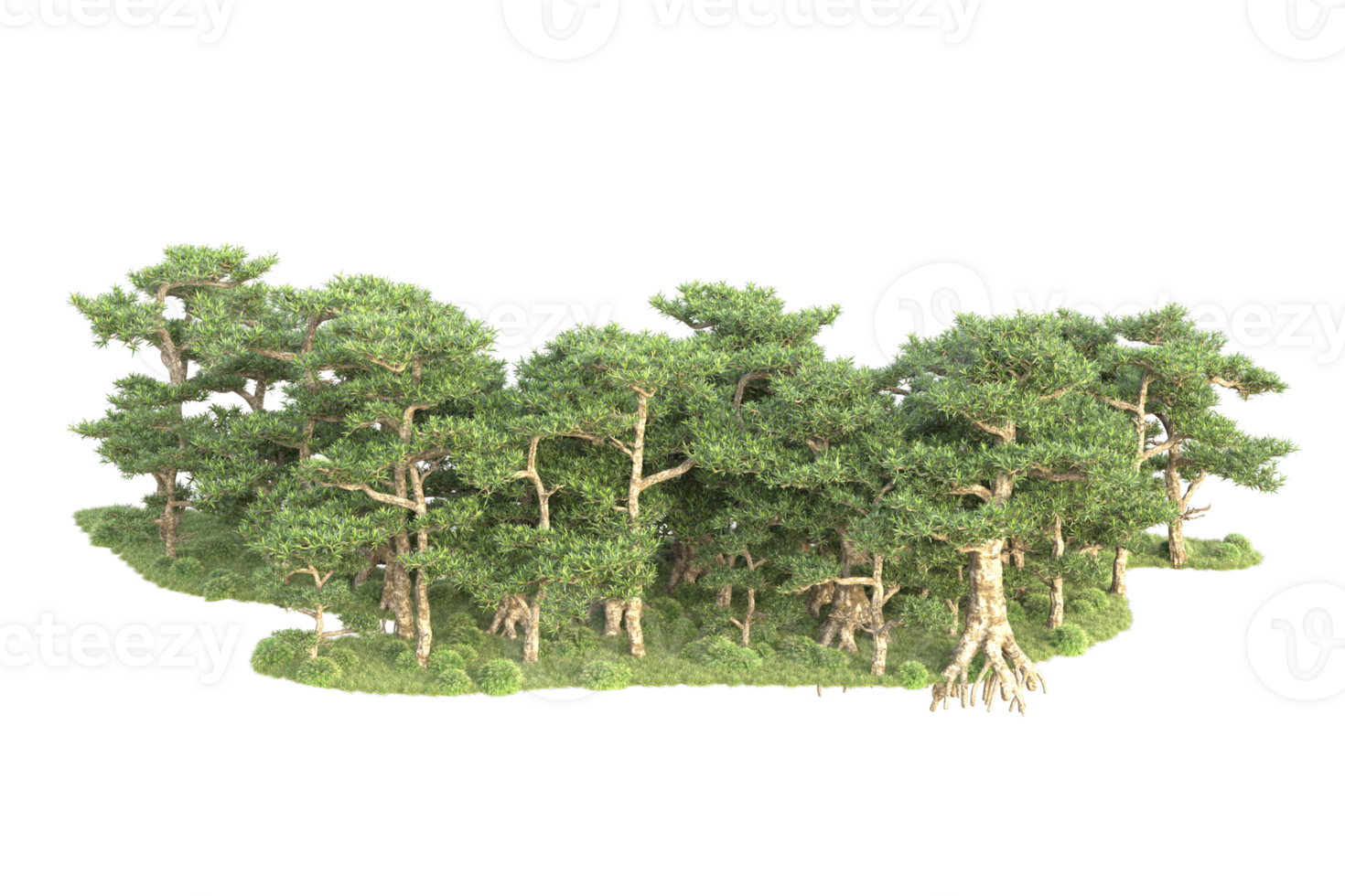 Tropical forest isolated on transparent background. 3d rendering - illustration png