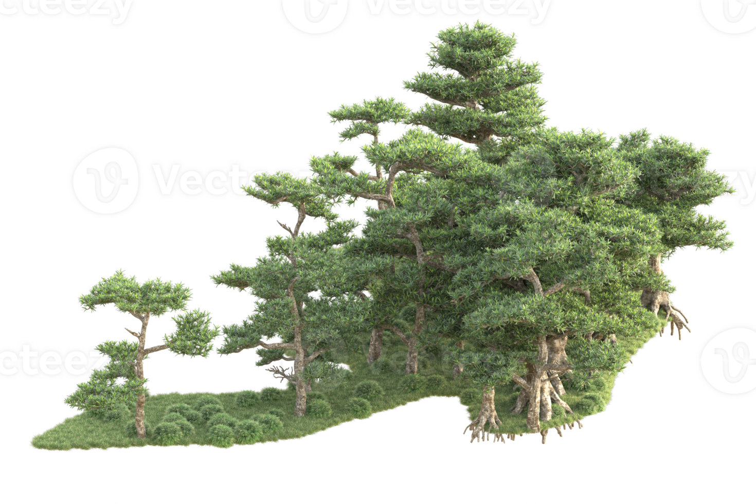 Tropical forest isolated on transparent background. 3d rendering - illustration png