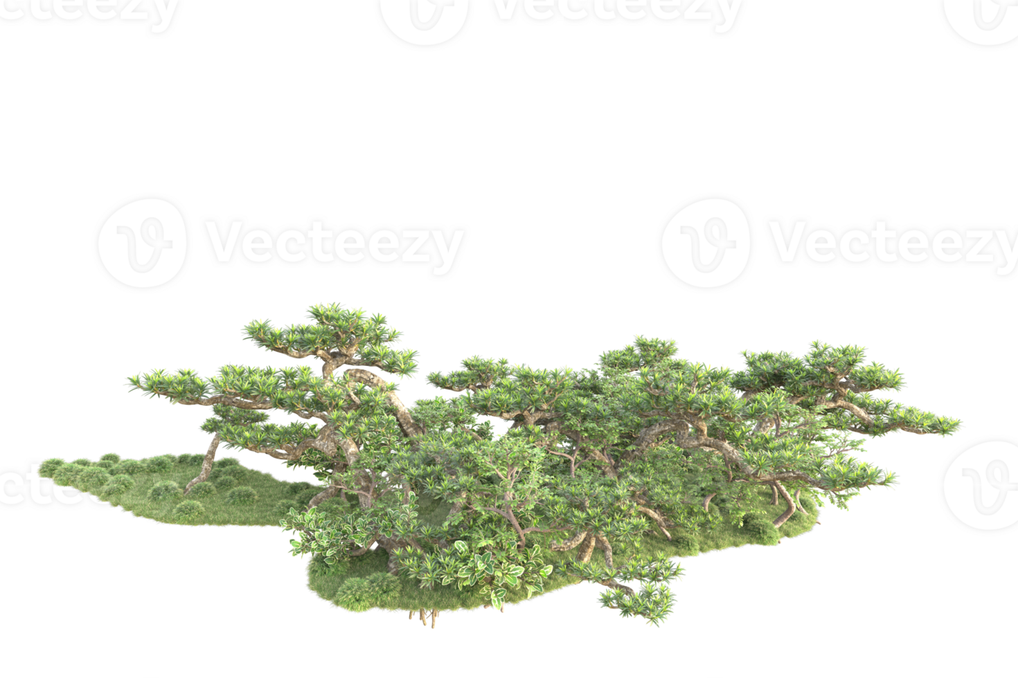 Tropical forest isolated on transparent background. 3d rendering - illustration png