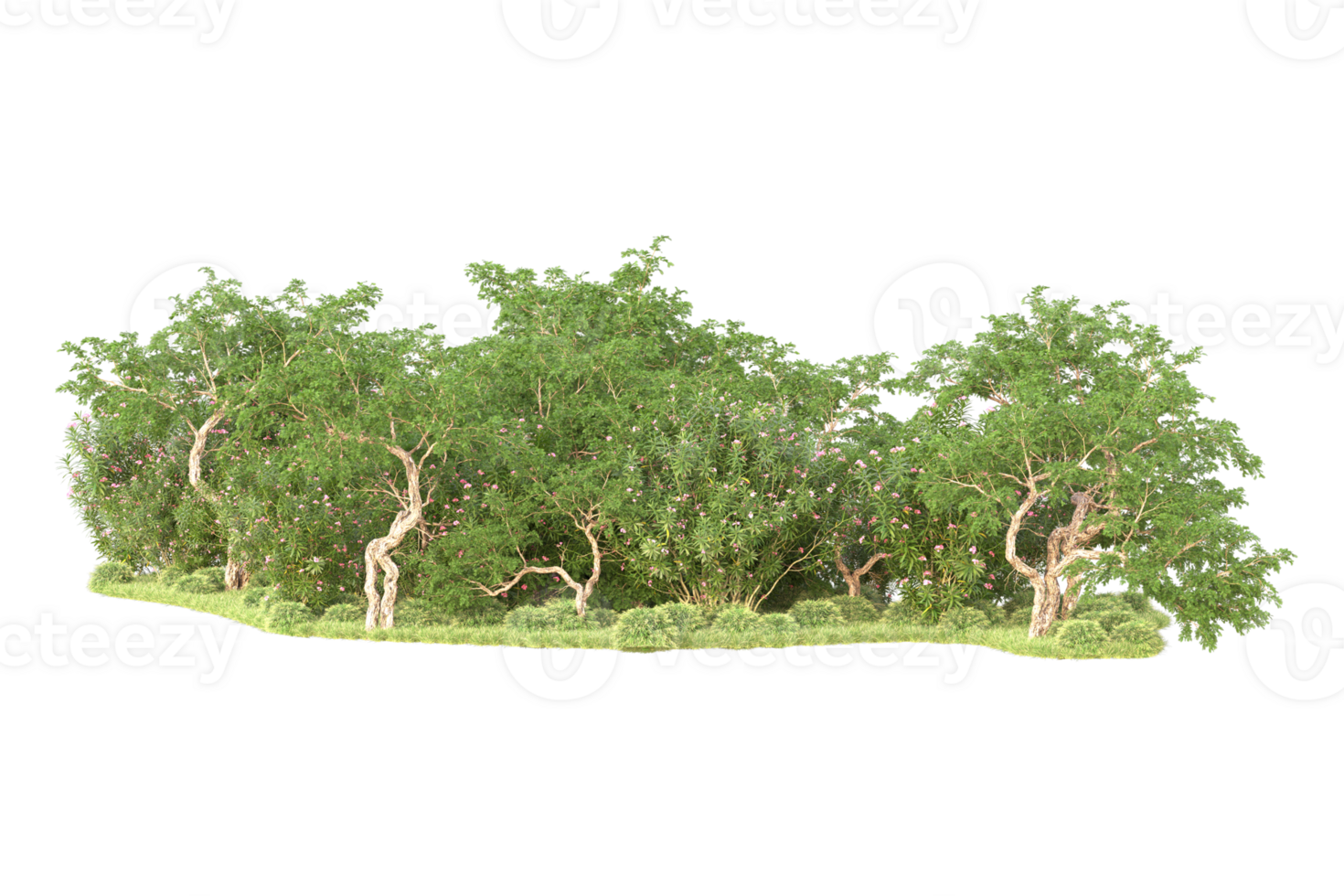 Tropical forest isolated on transparent background. 3d rendering - illustration png