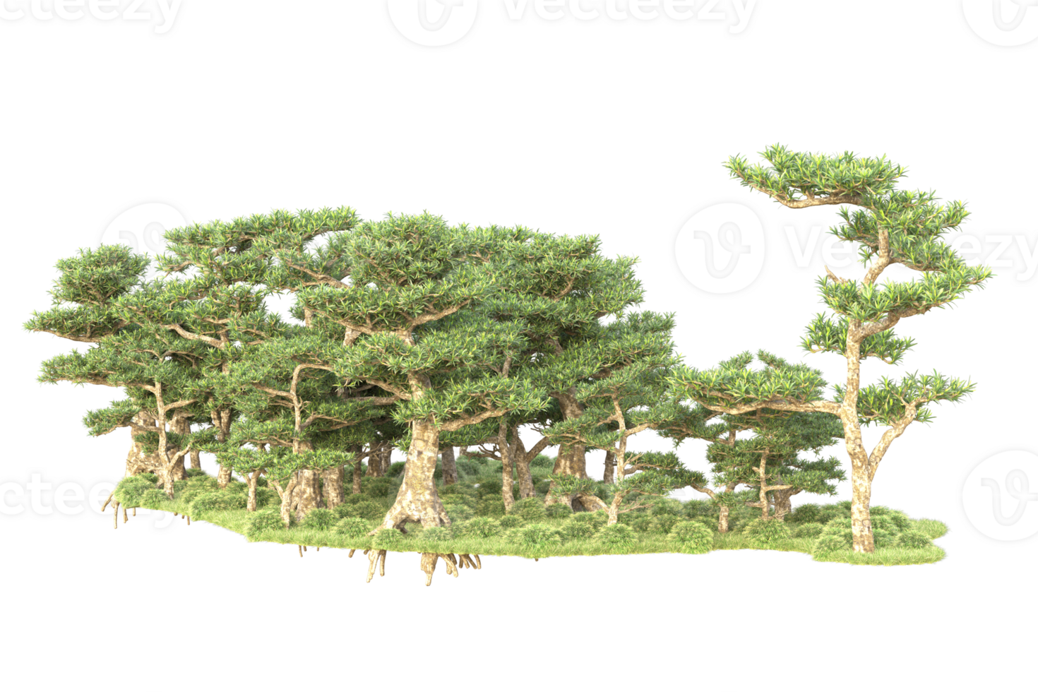 Tropical forest isolated on transparent background. 3d rendering - illustration png