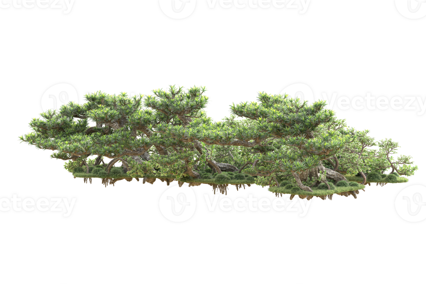 Tropical forest isolated on transparent background. 3d rendering - illustration png