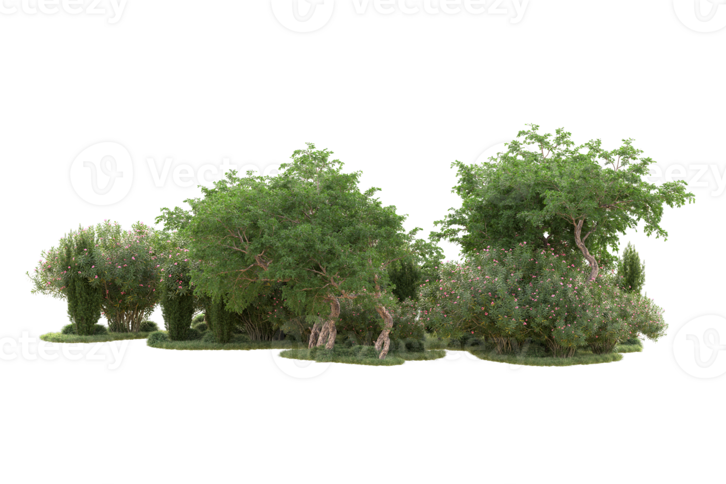 Tropical forest isolated on transparent background. 3d rendering - illustration png
