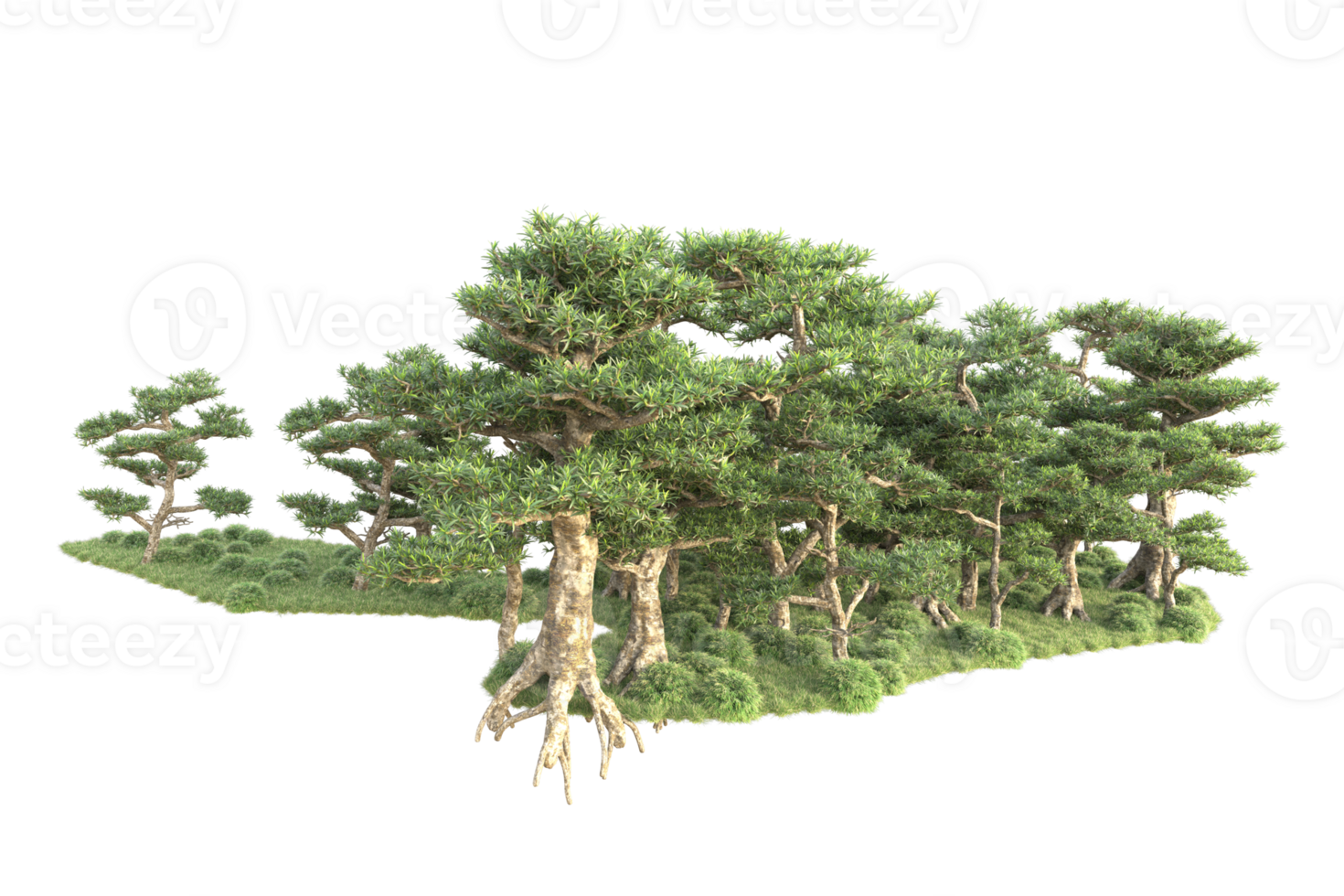 Tropical forest isolated on transparent background. 3d rendering - illustration png