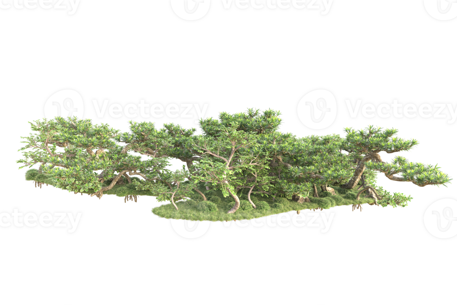 Tropical forest isolated on transparent background. 3d rendering - illustration png