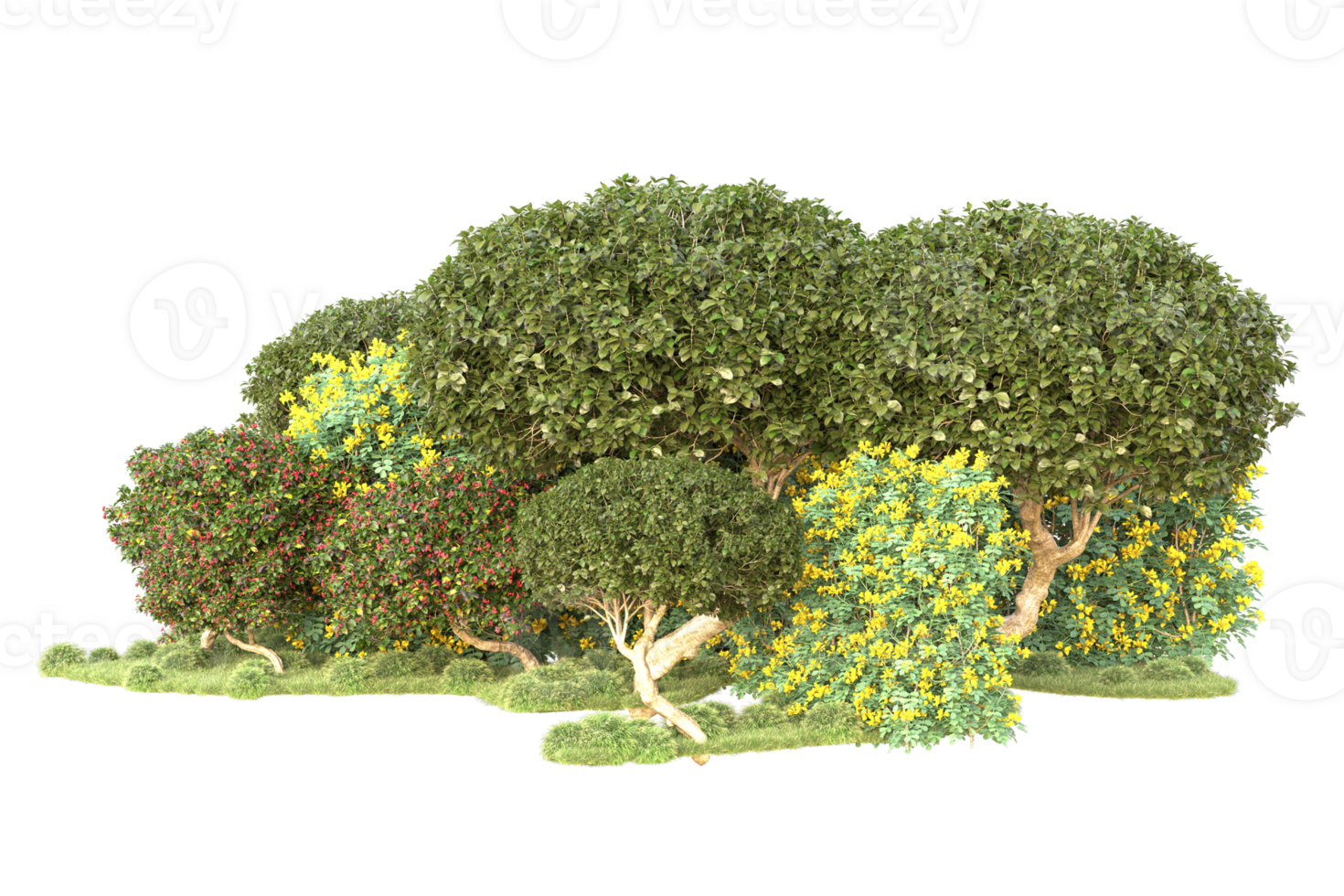 Tropical forest isolated on transparent background. 3d rendering - illustration png