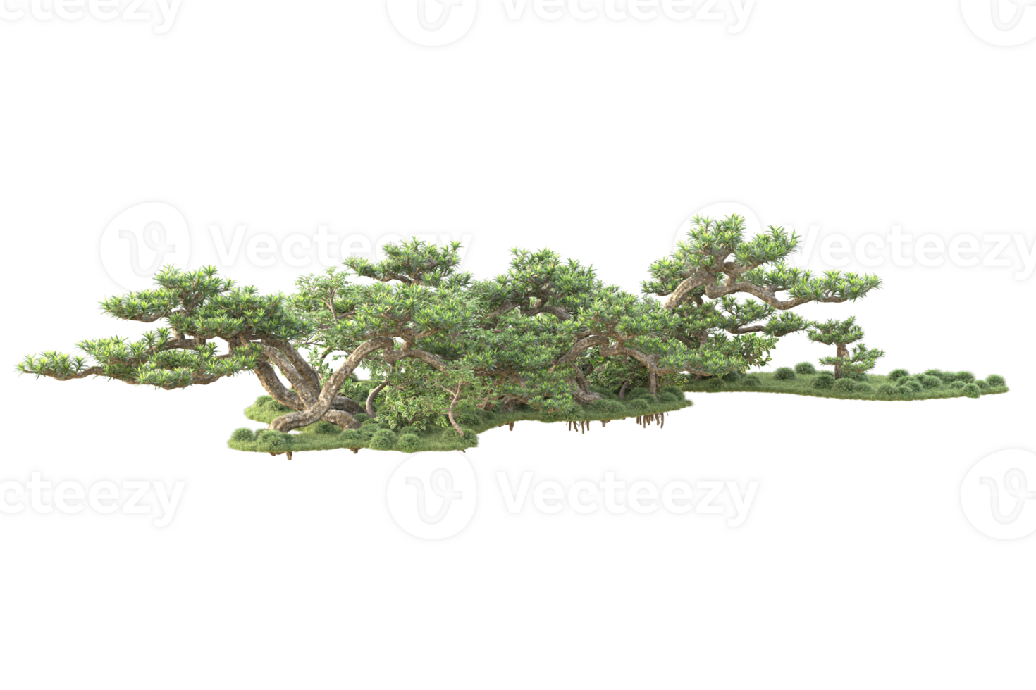Tropical forest isolated on transparent background. 3d rendering - illustration png