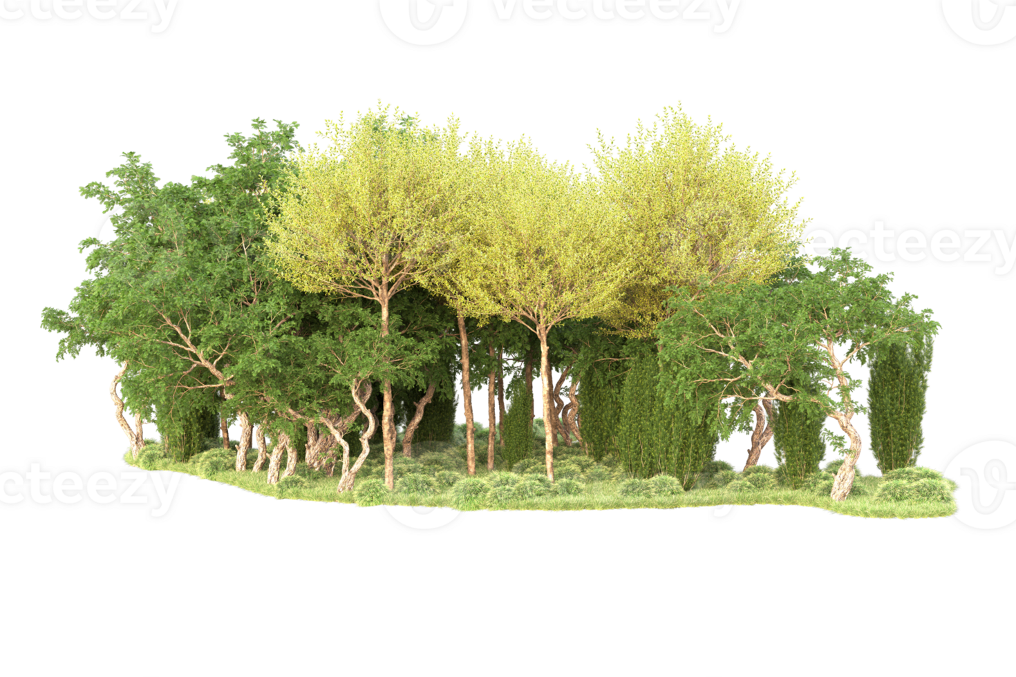 Tropical forest isolated on transparent background. 3d rendering - illustration png