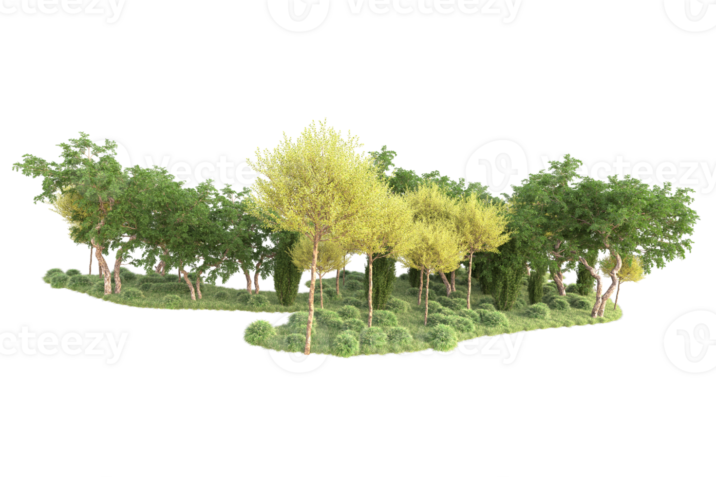 Tropical forest isolated on transparent background. 3d rendering - illustration png