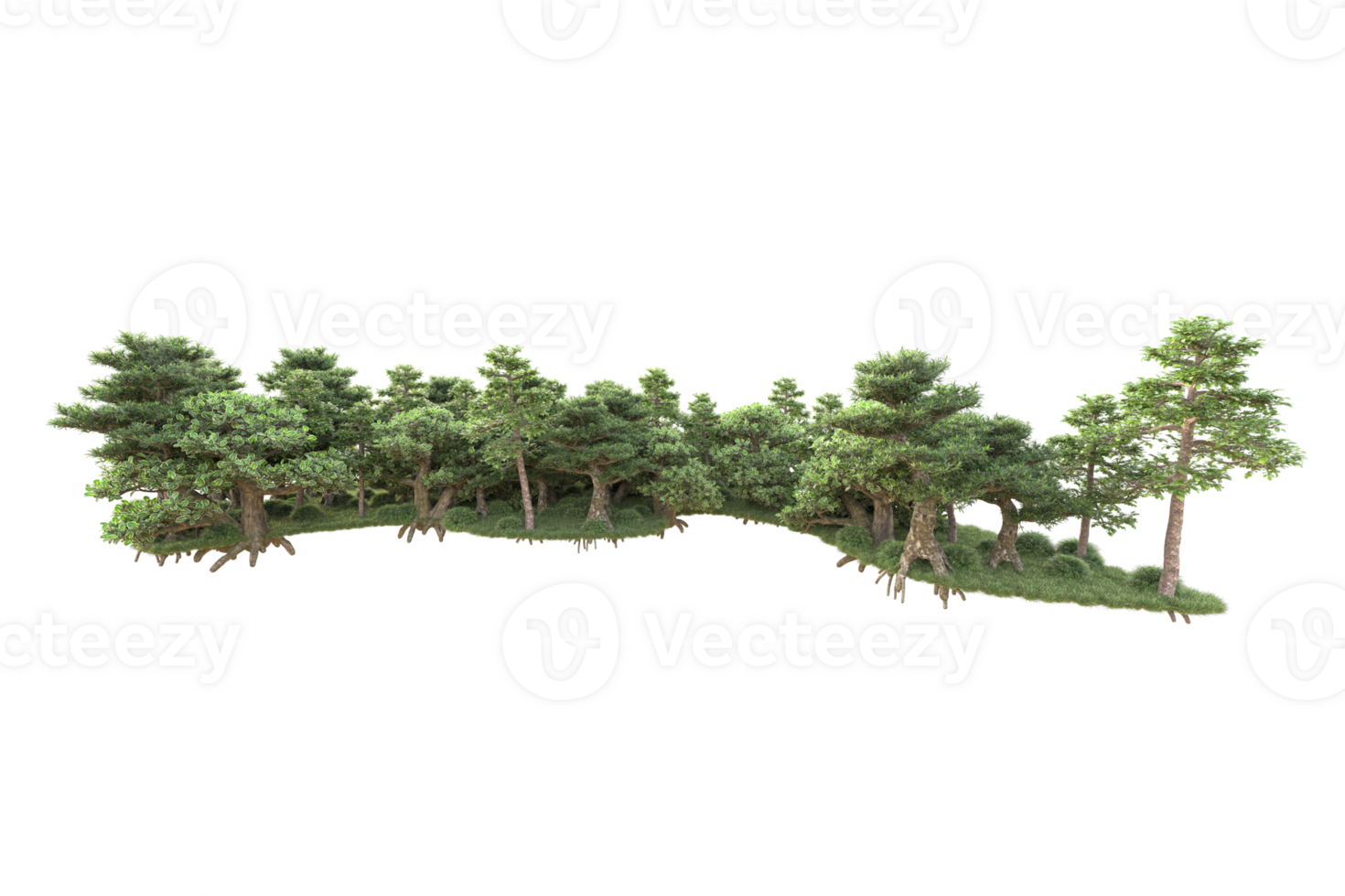 Tropical forest isolated on transparent background. 3d rendering - illustration png
