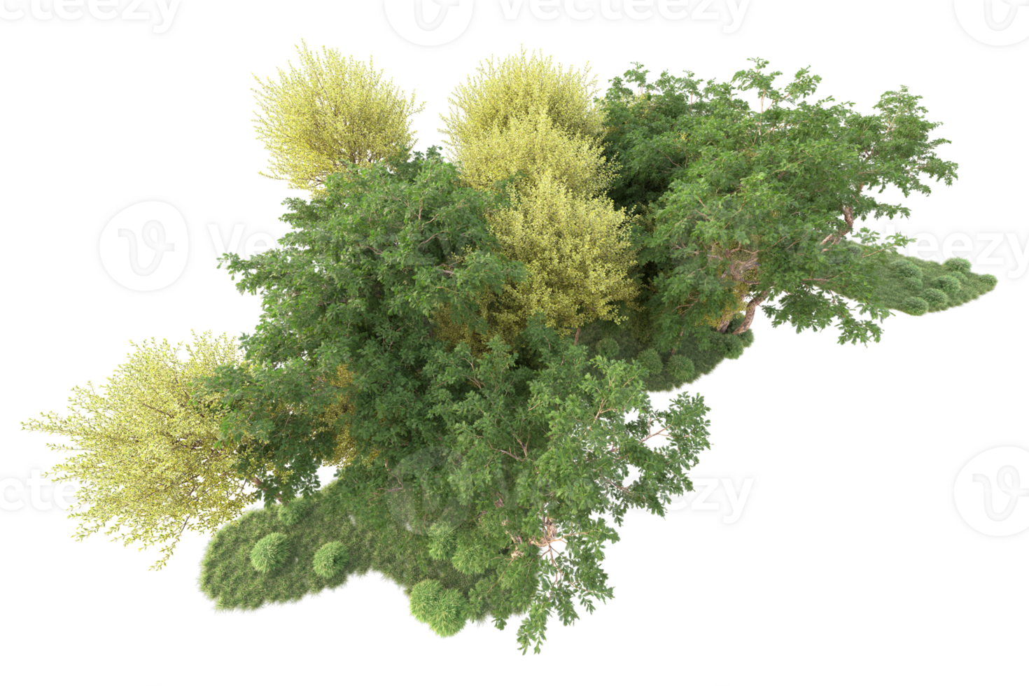 Tropical forest isolated on transparent background. 3d rendering - illustration png